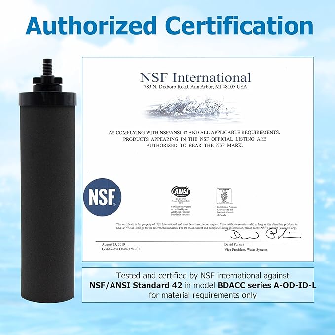 Water Filter Replacement for Berkey BB9-2 Black Activated Carbon Filters, Compatible with Berkey Gravity Water Filter System, Pack of 2