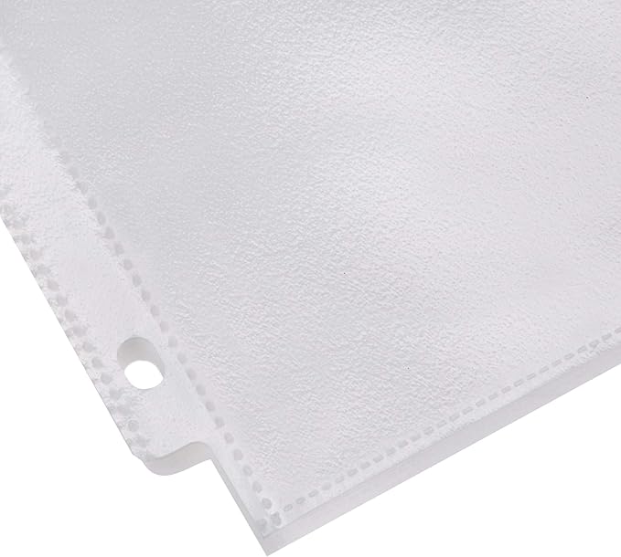 Basics Sheet Protector, Non-Glare, 100-Pack, 8.5 x 11, Clear