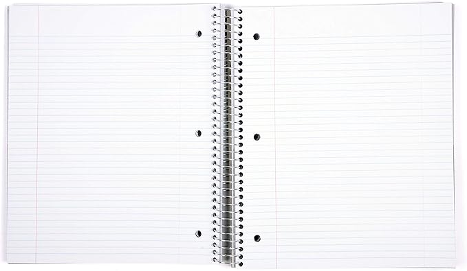Mintra Office Durable Spiral Notebooks, 5 Subject (Arctic Ice, College Ruled 1pk)