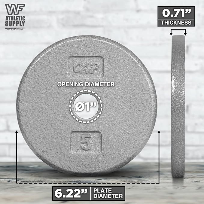 CAPHAUS Grey Standard Solid Cast Iron Weight Plates 1-inch Center Hole for Standard Barbell & Dumbbell Handles Size available in 1.25/2.5/5/7.5/10/12.5/25 & 50 LB Multiple Options