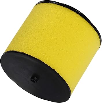 HIFROM Air Filter Element Cleaner replacement for Honda Foreman 500 4x4 (TRX500FM,TRX500FE,TRX500FPE & TRX500FPM) & Rubicon 500 (TRX500FM,TRX500FA & TRX500FGA) Replace 17254-HN1-000 (Pack of 1)