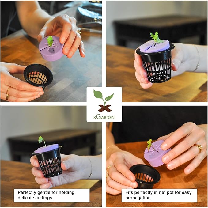 xGarden Neoprene Clone Collars - 30 Pack Cloning Collars, 2" Inch, Purple - DIY Foam Cloner Inserts for Net Pots, Hydroponics, Aeroponics