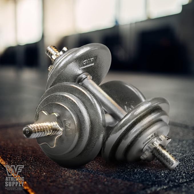 CAPHAUS Grey Standard Solid Cast Iron Weight Plates 1-inch Center Hole for Standard Barbell & Dumbbell Handles Size available in 1.25/2.5/5/7.5/10/12.5/25 & 50 LB Multiple Options