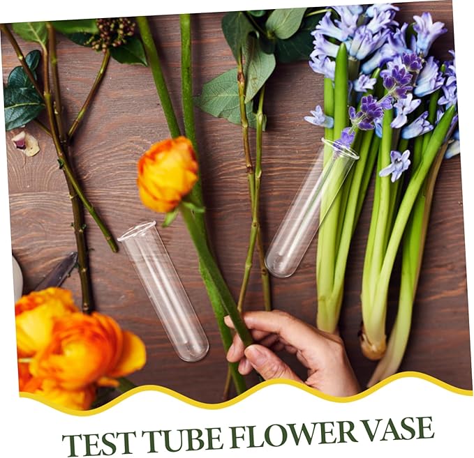 Glass Test Tube Vase for Plant Propagation 5 Pack Water Tube for Flowers Elegant Home Decor for Office Dinner Parties