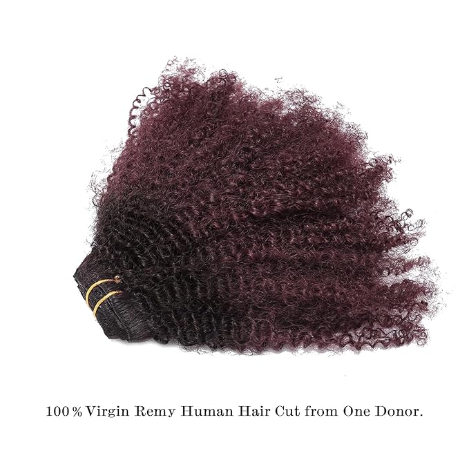 Ombre Remy Clip in Human Hair Extensions Afro Kinky Curly For Black Women 4A 4B 100 Human Hair Clip ins Two Tone 1B99J Burgundy Wine Red Full Head (10 inch,T1B99J AC)