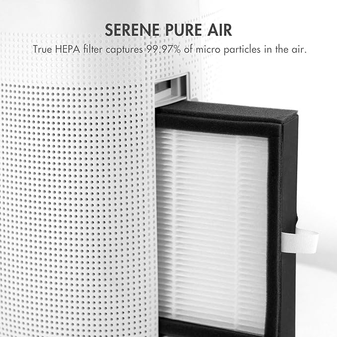 Tenergy Sorbi 1000ml Air Dehumidifier wPurifying Function, True HEPA Filter, Auto Shutoff, Touch Control Adjustable Air Speed, Ultra-Quiet, Ideal for Closets Bathrooms