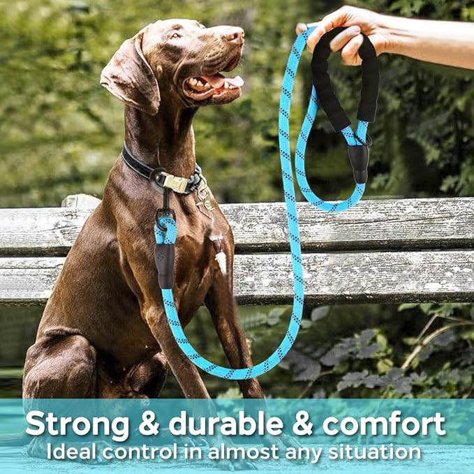COOYOO Dog Leash 56 FT with Comfortable Padded Handle and Highly Reflective Threads for Small Medium and Large Dogs