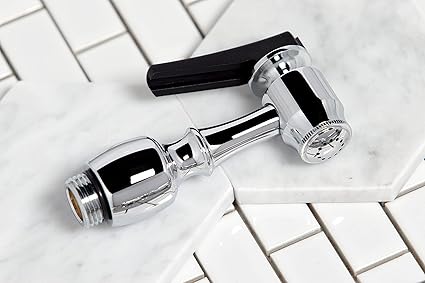 Kingston Brass Gourmetier KBSPR1 Kitchen Faucet Sprayer with Hose, Polished Chrome
