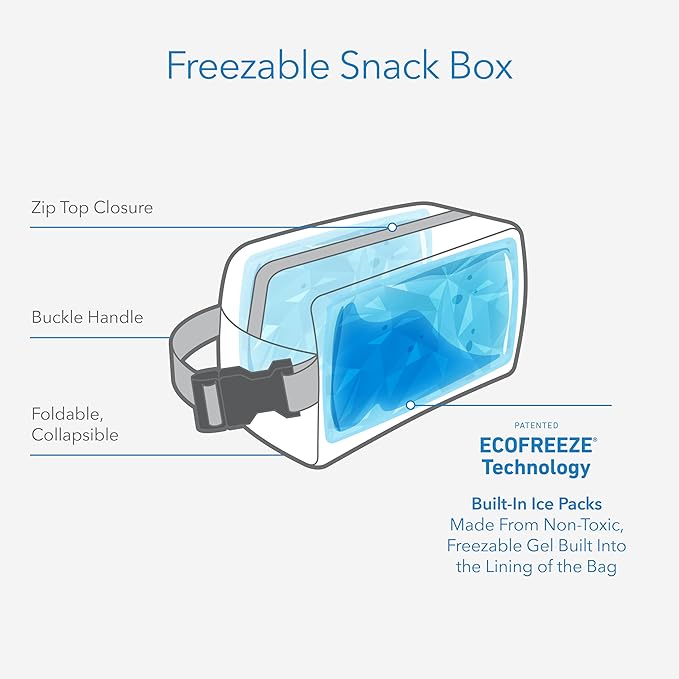 PackIt Freezable Snack Box, Striped Bolts, Built with EcoFreeze Technology, Collapsible, Reusable, Zip Closure with Buckle Handle, Great for All Ages and Fresh Snacks on the go