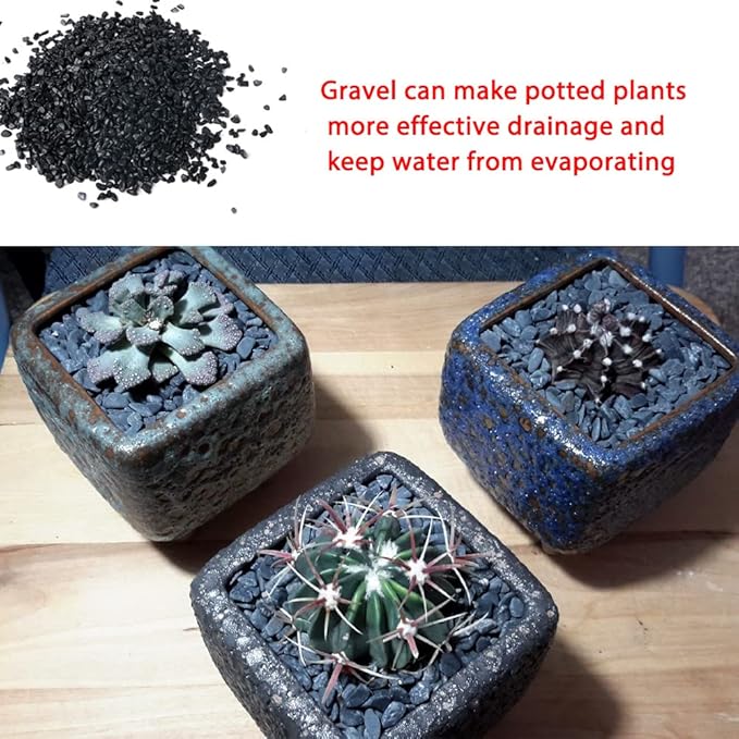 Avalution3 6-9 mm Natural Black Gravel 3LB, Polished Stone Succulent Plant Bonsai Stone DIY Plant Rock for Garden Outdoor Indoor Vase Gravel Aquarium Fish Tank Fairy Gardening Filling Decoration