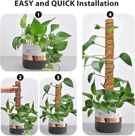1Pcs Plant Cages Supports Reusable Plant Climbing Stand Can be Used for a Long time Flower Plants Support Holder Balcony Garden Courtyard(50cm)
