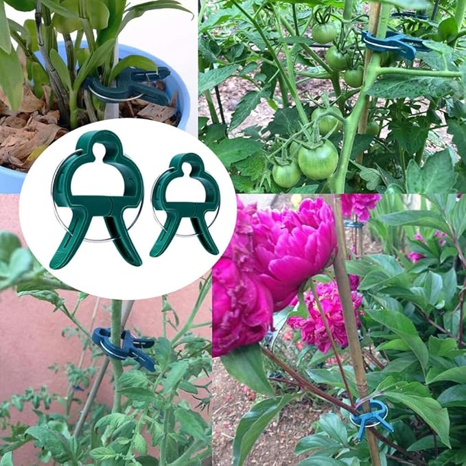 58PCS Garden Plant Supports Clips, 2 Sizes 19 Large/39 Small) Adjusting Reusable Plant Clips for Supporting Stems of Flower Vine Vegetables Tomatoes Climbing