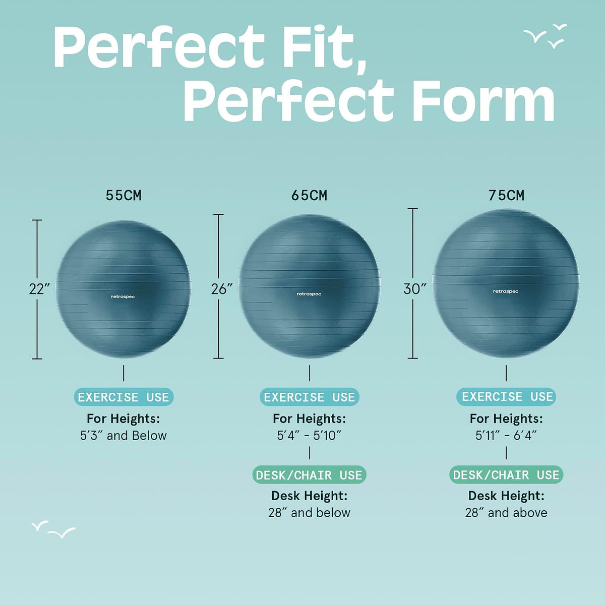 Retrospec Luna Exercise Ball and Base Only- Anti-Burst Fitness Equipment for Yoga, Core Training & Stability - Home Gym Swiss Ball for Office & Pregnancy