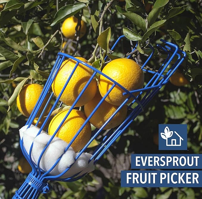 EVERSPROUT Twist-On Fruit Picker Basket, Twists onto Standard US Threaded Pole (34-inch ACME), Fruit Picker Head Basket, Fruit Harvesting Tool, Apple, Mango Picker etc. (Head Only, Pole Not Included)