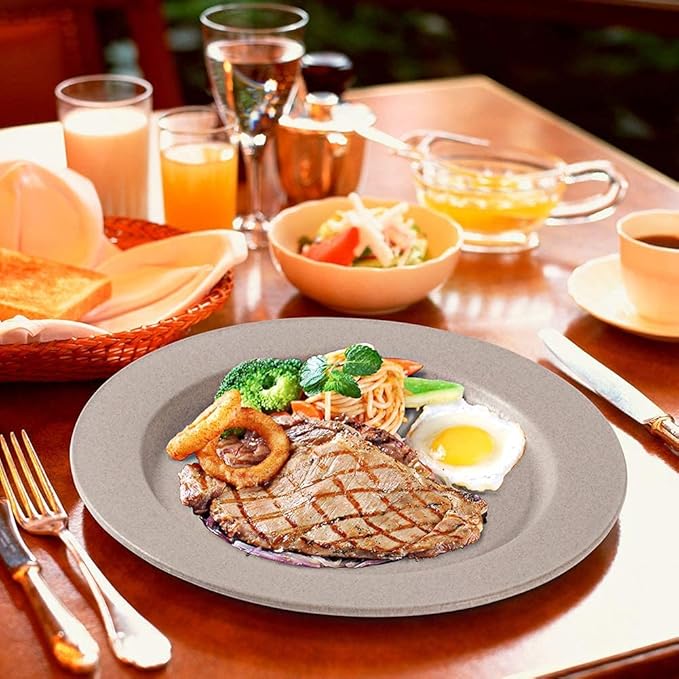 10 Inch6pcs Dishwasher Microwave Safe Wheat Straw Plates - Unbreakable Lightweight, Reusable, Eco-Friendly and Healthy - Assorted Colors
