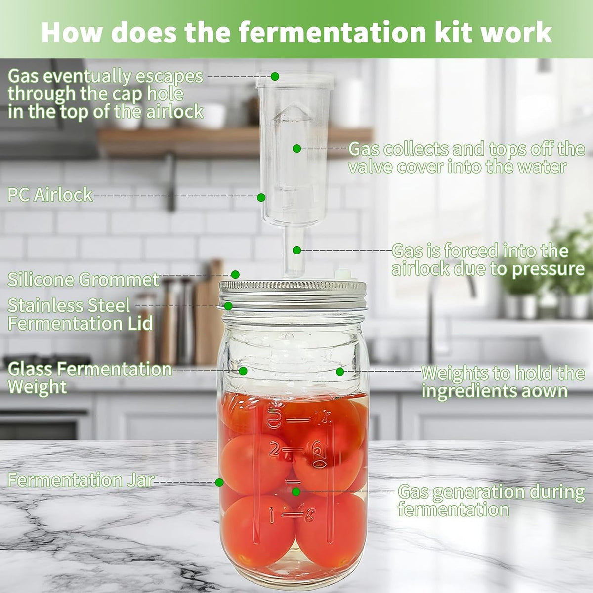 2 Pack 32oz Wide Mouth Mason Jar Ferment Kit Jars Included Lids, (No Accessories Included)