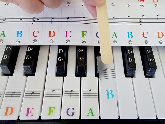 Piano Keyboard Sticker Label Large Note for Electronic Keyboards or Piano Beginners Easy Learning Tool 3749617688 Key Piano