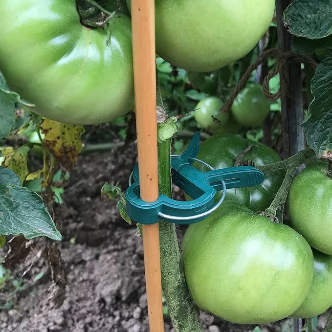 58PCS Garden Plant Supports Clips, 2 Sizes 19 Large/39 Small) Adjusting Reusable Plant Clips for Supporting Stems of Flower Vine Vegetables Tomatoes Climbing