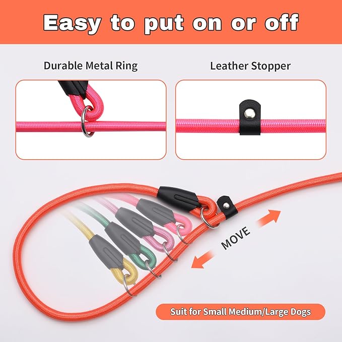 6 - Piece Set! Premium No - Pull Slip Lead Dog Leashes - 5FT Heavy - Duty Rope for Small Medium Dogs in a Vibrant 6 - Color Collection