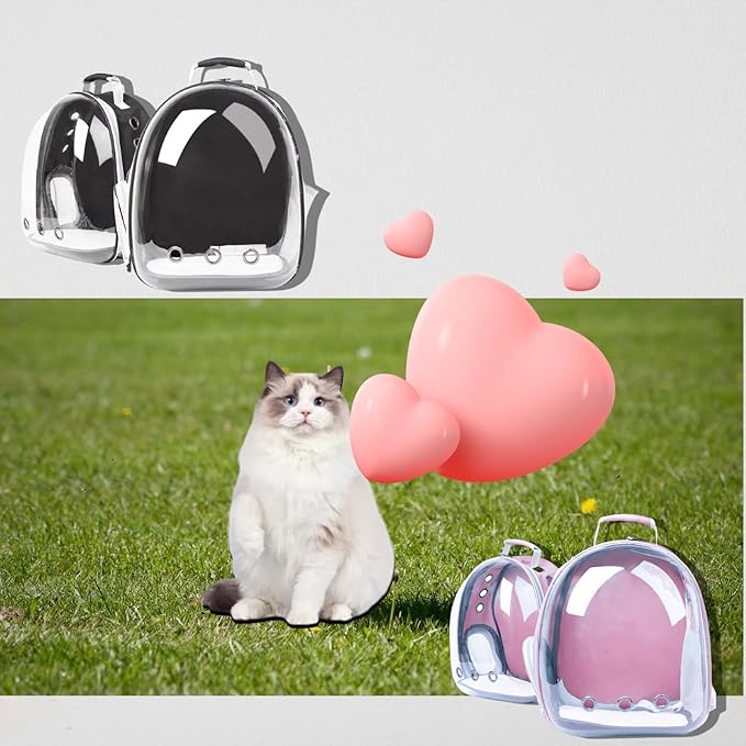 Cat Backpack Bubble, Cats and Dogs Pet Carrier Hard, Suitable for Cats Traveling Cat Bag Carrier, Transparent Outdoor Waterproof Spacecraft Pet Backpack Carrier(Black)