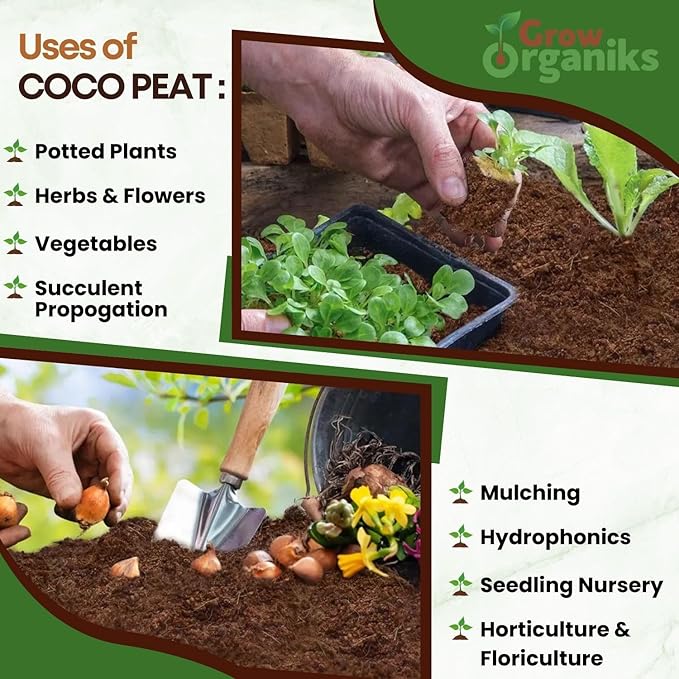 2 Pack Premium Coco Coir Brick for Plants 100 Organic Compressed Coconut Coir Bricks Starting Mix, Coco Coir Fiber Coconut Husk for Planting, Gardening, Potting Soil Substrate, Herbs, 1.4 LBBrick