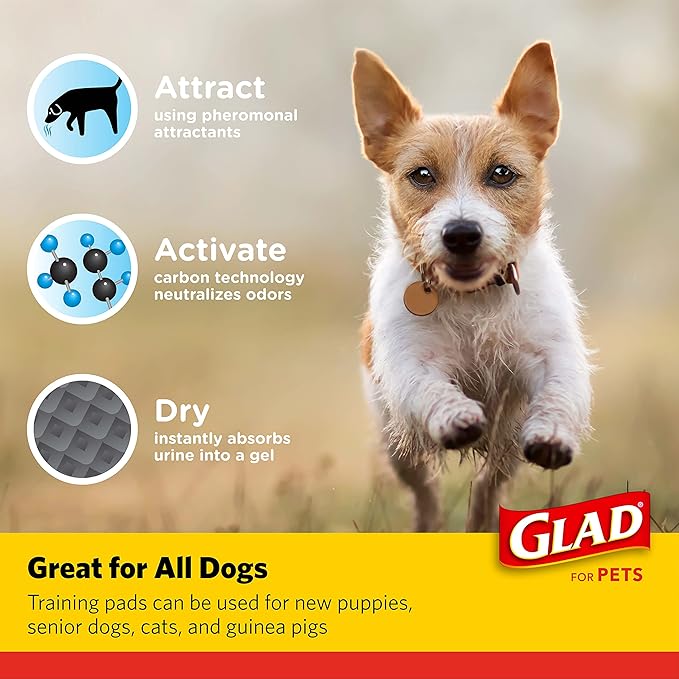 Glad for Pets Black Charcoal Puppy Pads 23" x 23" AllinOne Puppy Potty Training Pads That ABSORB NEUTRALIZE Urine Instantly New Improved Quality Puppy Pee Pads, (Pack of 1, 100 Count Total)