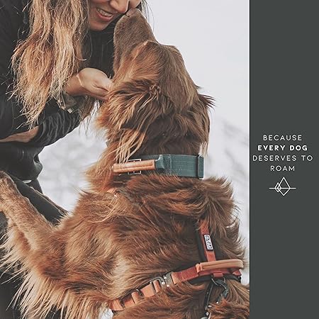 Made to ROAM Premium Dog Collar - Adjustable Heavy Duty Nylon Collar with Quick-Release Metal Buckle (Vermont Weekends, Classic Size 2.5)