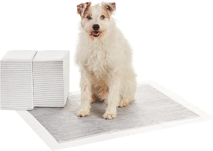Basics Dog and Puppy Pee Pads with 5-Layer Leak-Proof Design and Super Absorbent Surface for Potty Training, Odor-Control Carbon, XL Size, 28 x 34 Inch - Pack of 50, Gray