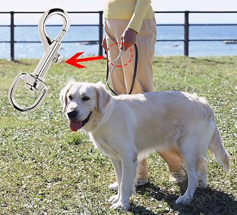 Penta Angel 4Pcs Dog Leash Clasp Heavy Duty Snap Hooks Clips Pet Leashes Key Chain with Spring Buckle for Linking Pet Collar (4 PCS)