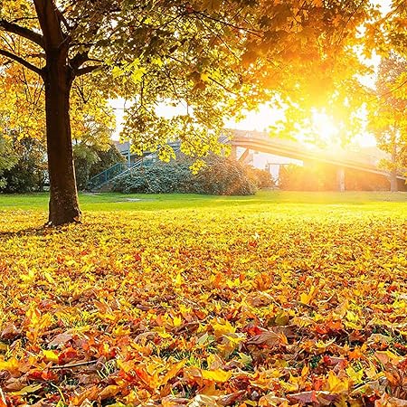 Thanksgiving Maple Leaves Decorations, 50 Pcs Artificial Maple Leaves Fall Garland Autumn Leaves for Home Farmhouse Thanksgiving Holiday Decor,C