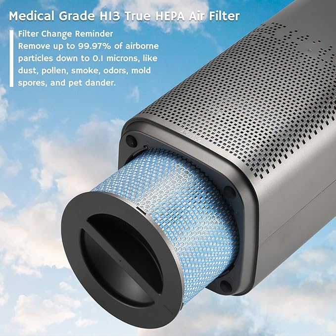 Airthereal H13 Medical Grade True HEPA Filter Replacement for Glory Days AGH380 Air Purifier