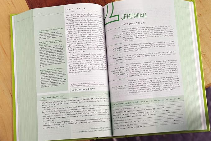 NIV, Quest Study Bible for Teens, Hardcover: The Question and Answer Bible