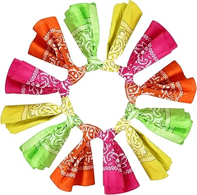 Blulu 12 Pack Unisex Paisley Bandanas Bulk Cowboy Bandanas Head Wrap Scarf Wristband for Men Women Bachelorette Party
