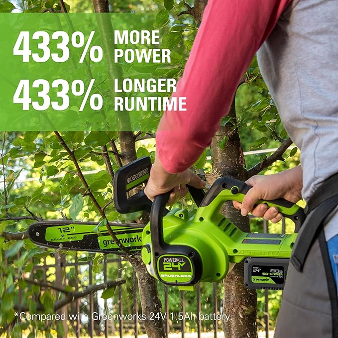 Greenworks 24V 8.0Ah Lithium-Ion Battery(Genuine Greenworks Battery 125 Compatible Tools)