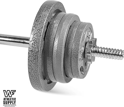 WF Athletic Supply Cast Iron 1-Inch Standard Grip Weight Plate for Strength Training, Charcoal or Gray Color - Pair