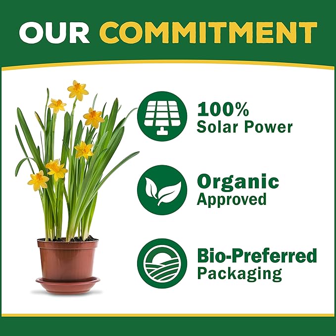 Espoma Organic Plant-Tone 5-3-3 Natural Organic All Purpose Plant Food; 4 lb. Bag; The Original Organic Fertilizer for All Flowers, Vegetables, Trees, and Shrubs.