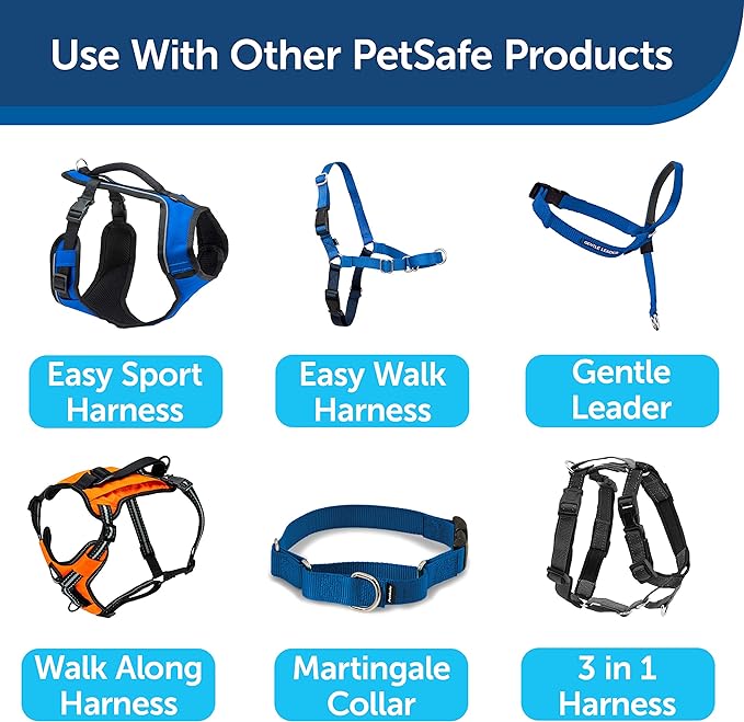 etSafe Nylon Dog Leash – Strong, Durable, Traditional Style Leash with Easy to Use Bolt Snap for Small, Medium and Large Dogs – 3/8" x 6', Royal Blue