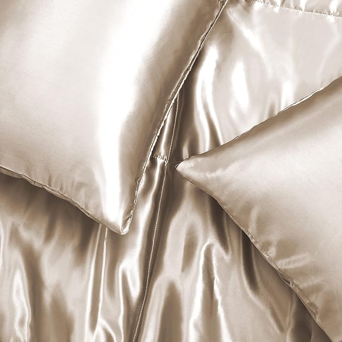 Whale Flotilla 3-Piece Reversible Silky Soft Queen Comforter Bedding Set, Luxurious Satin Comforters Full Size with 2 Satin Pillowcases, Lightweight Duvet for All Seasons, Champagne