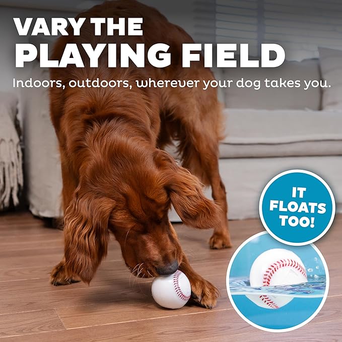 Outward Hound by Planet Dog Sport Ballz Baseball Treat-Dispensing Fetch Ball Dog Toy