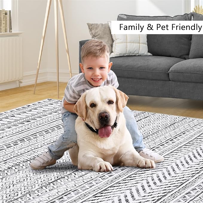 5x7 Machine Washable Area Rug Boho Geometric Area Rug Farmhouse Non-Slip Stain Resistant Modern Rug for Living Room Home Office, 5' x 7'