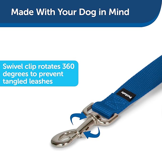 etSafe Nylon Dog Leash – Strong, Durable, Traditional Style Leash with Easy to Use Bolt Snap for Small, Medium and Large Dogs – 3/8" x 6', Royal Blue