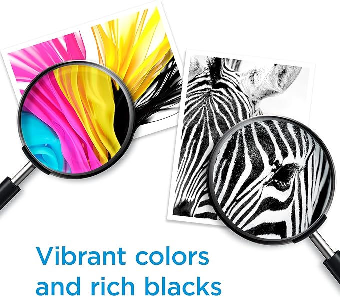 HP 63 Black Ink Cartridge for HP Printers Works with Printer Series: DeskJet 1112, 2130, 3630; ENVY 4510, 4520; OfficeJet 3830, 4650, 5200 Eligible for Instant Ink F6U62AN