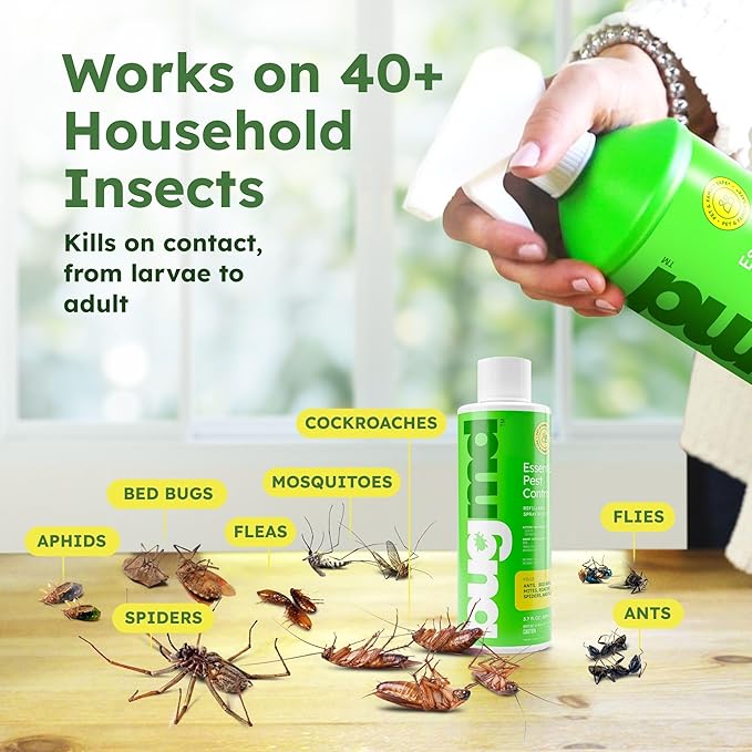 BugMD Ant Killer Bug Spray Concentrate - Indoor Cockroach and Roach Killer, Spider Spray for Home, Fly and Insect Defense, Essential Oils, Plant-Powered, Eco-Friendly Pest Control - 3.7 Oz