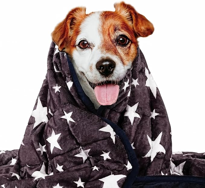 LaSyL Weighted Blanket for Pets Thunder Blanket for Dogs Anxiety Premium Soft Minky Relaxation Calming Anti Anxiety Blue Grey Star, Washable Small 24" L x 32" W