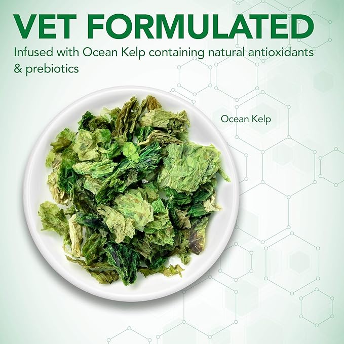 Vets Best Probiotic Soft Chews for Dogs Daily Digestive Support Supplement with Prebiotics for Gut Health Natural Dog Chews for Healthy Digestion and Immunity 90 Count
