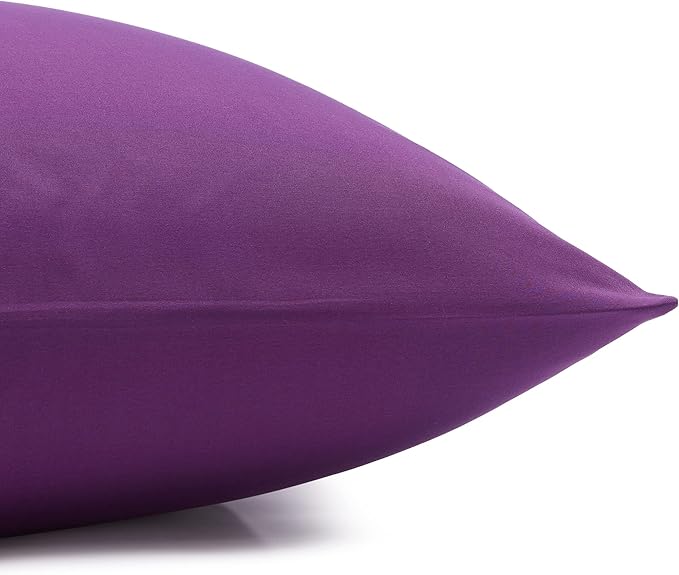 Basics 4 Piece Deluxe Microfiber Bed Sheets, Full Size, Plum, Solid