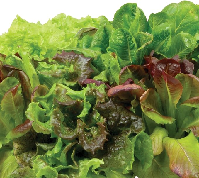 AeroGarden Heirloom Salad Greens Seed Kit, 7-pod, White