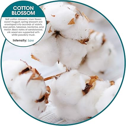 Fresh Products Eco-Air Refill, Air Freshener, Dry Fragrance Refill, Natural Oils, No Acetone or Propellants, Lasts 30 Days, Eco-Friendly, Powerful Fragrance Cotton Blossom, Made In USA, 6 Pack
