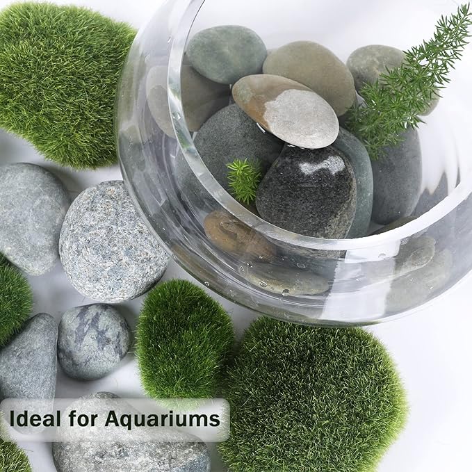 Stones Pebbles River Rocks, 100 Natural Hand-Picked Premium Decorative Pebbles, Ideal for Garden Landscaping, Home Decor, Aquariums, Painting, Crafting and Gifts, Green