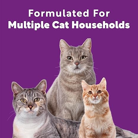 Scoop Away Multi-Cat Clumping Cat Litter, Scented, 14 Pounds (Package May Vary)